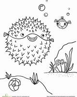 Blowfish Pages sketch template