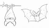 Bats Bat Coloring Pages Printable Kids Cute Draw Drawings Drawing Halloween Print Sheets Flying Vampire Clip Colouring Animal Step Fruit sketch template