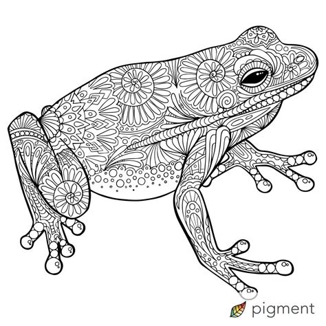 reptile coloring pages adult coloring pages