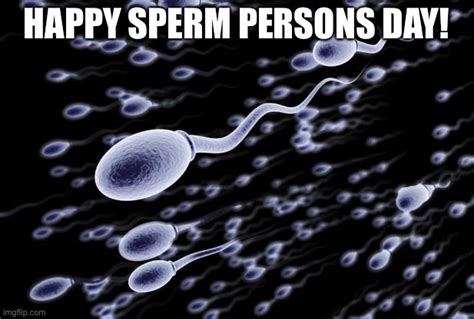 Happy Sperm Persons Day Imgflip