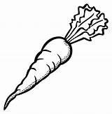 Carrot Lineart Openclipart sketch template