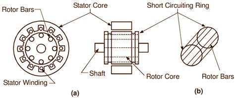 squirrel cage induction motor working principle construction diagram applications