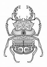 Coloring Pages Beetle Adult Beetles Zentangle Coloringbay sketch template