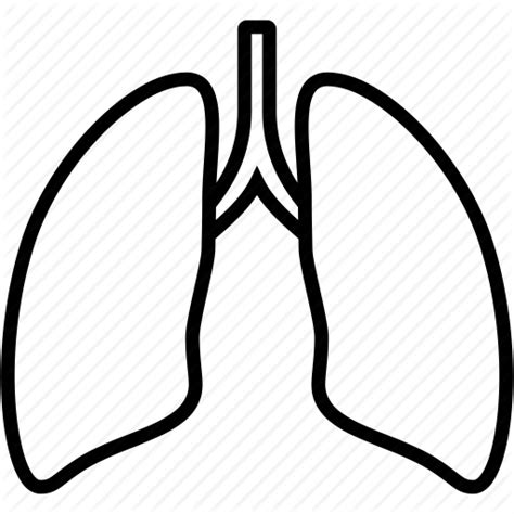 lungs clipart free download best lungs clipart on