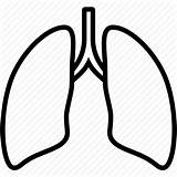Lungs Iconset Clipartmag sketch template