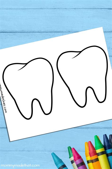 tooth templates  printable outlines