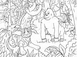 Selva Colorare Animali Animais Giungla Libro Natureza Savana Floresta Vettore Fumetto Foresta Dschungeltiere Ausmalbilder Immagini Animada Coloringcity Birds Kolorowanka Ilustración sketch template