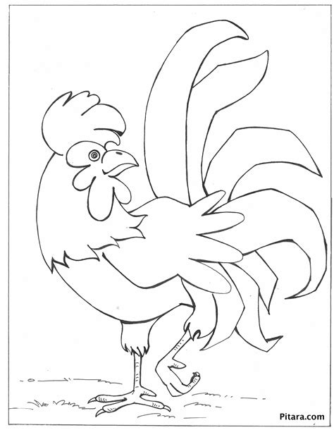 chicken coloring pages  gif