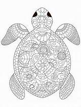 Coloring Turtle Mandala Sea Pages Schildkröte Adult Animal Un Colouring Mit Adults Vector Tortue раскраски выбрать доску Coloriage Stock Tableau sketch template