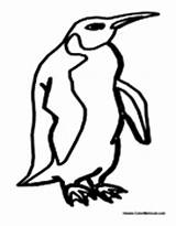 Antarctica Penguin Pages Antarctic Colormegood sketch template