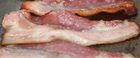 Bacon Harms Male Fertility Link Found Between Processed
