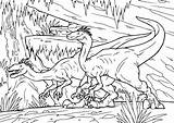 Velociraptor Dinozaury Druku Kolorowanki Dinozaur Kolorowanka Dinosaurio Drukowania Ilustración Planetadziecka sketch template