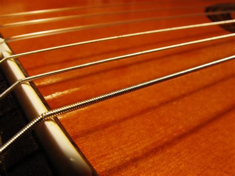 classical strings  photo  freeimages