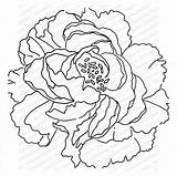 Impression Cling Peony Obsession sketch template