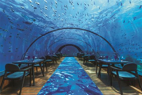 keren restoran restoran bawah laut  mempesona blog unik