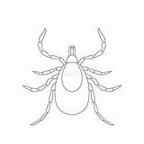 Tick Coloring Cartoon Sketch Parasite Template Pages sketch template