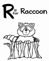 Raccoon Coloring Pages Printable Color Racoon Everfreecoloring Getcolorings Netart sketch template
