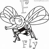 Fly Coloring Printable Color Pages Kids Getcolorings Print Getdrawings sketch template