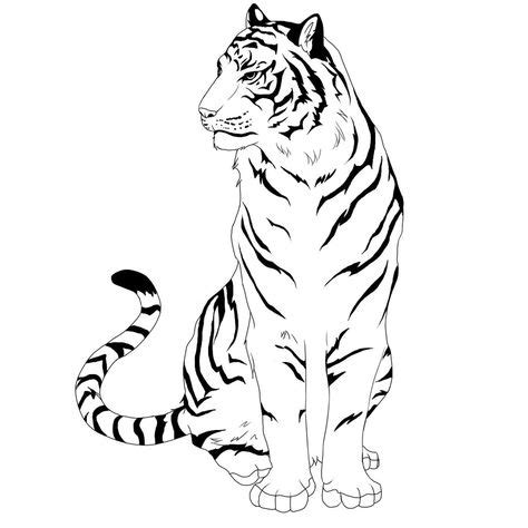 tiger lineart read rules  hypervanitydeviantartcom