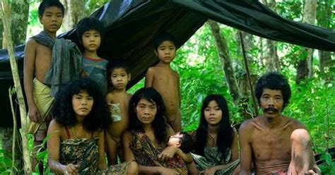 budaya kearifan lokal daerah indonesia sistem kepercayaan animisme suku anak jambi