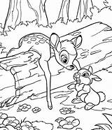 Bambi Coloriages Wonder Gratuitamente sketch template