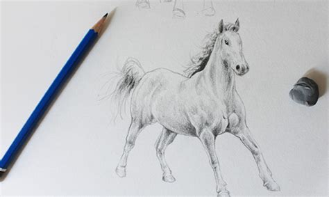 draw horses  goats  tutorials  craftsy craftsy