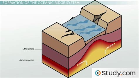 oceanic ridge system formation distribution lesson studycom
