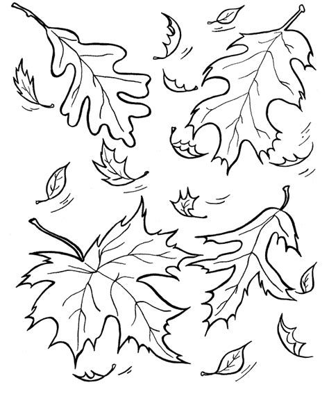fall leaves coloring pages  coloring pages  kids fall leaves