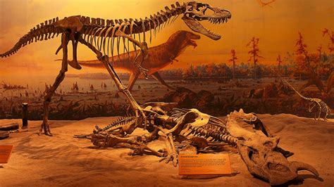 top  dinosaur images amazing collection dinosaur images full