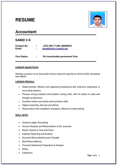 simple resume format   ms word prosecution
