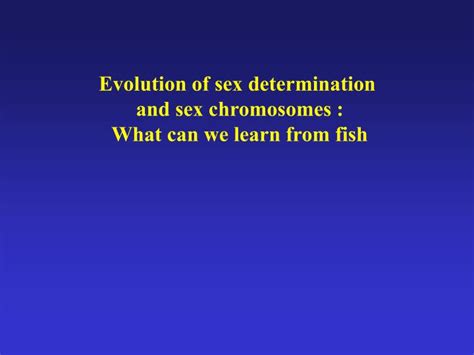Ppt Evolution Of Sex Determination And Sex Chromosomes What Can We
