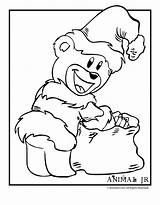 Bears Animaljr sketch template