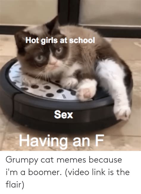 🔥 25 best memes about grumpy cat memes grumpy cat memes