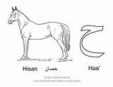Alphabet Arabic Horse حصان Letter Haa Worksheets Kids Activities Letters Coloring Pages English Language Sound Activity Name Color Choose Board sketch template