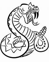 Rattlesnake Diamondback Rattlesnakes Snakes Logodix Heaviest Venomous sketch template