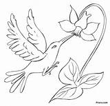 Flowers Birds Bird Flower Coloring Drawing Pages Pencil Rainforest Paradise Drawings Easy Kids Pitara Printable Transparent Color Sketches Beautiful Getcolorings sketch template