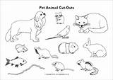 Cut Outs Pet Animal Animals Pets Sparklebox Coloring Kids Board Animais Preschool Activities Choose Para Ensino Gratuitos Recursos sketch template