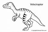 Velociraptor Totara Scool Park Room Colour Could sketch template