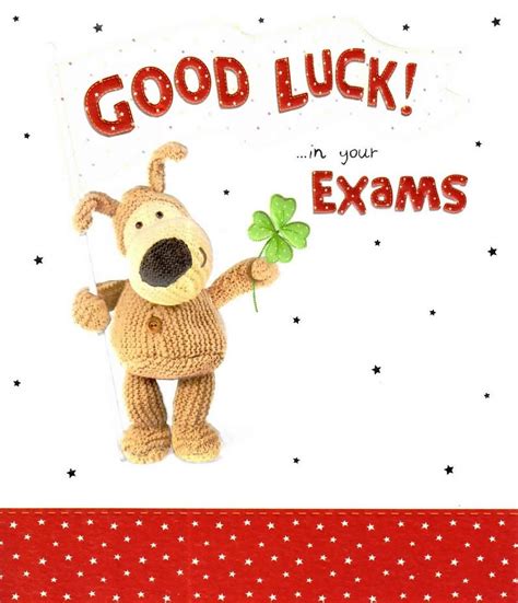 boofle good luck   exams greeting card  images exam cards