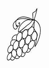Grapes Grape Fruit sketch template