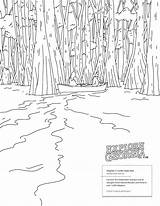 Swamp Okefenokee Providence Lumpkin sketch template