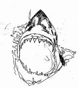 Shark Coloring Jaws Pages Killer Color Drawing Bull Print Place Scarey Movie Getdrawings Search sketch template