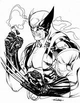 Wolverine Deviantart Spiderguile Habits Die Hard Old Comics Anime Wallpaper sketch template