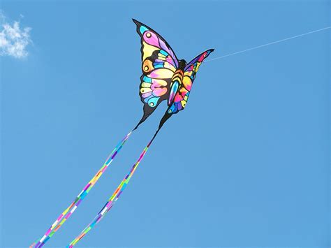 kite flying  photo  freeimages