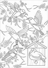 Oiseaux Cerisier Uccelli Colorare Adulti Coloriage Japonais Aves Coloriages Justcolor Adultes Japon Adultos Dessiner Difficiles Coloriez Devant Cinq Volant sketch template