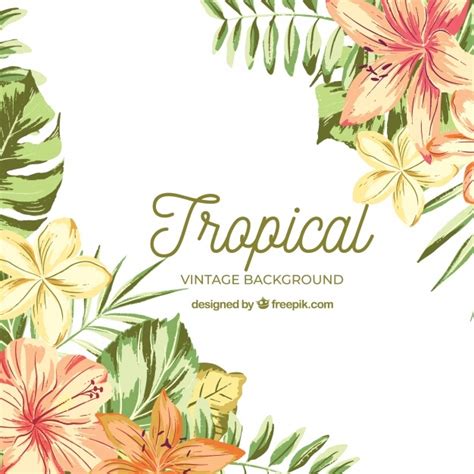 free vector watercolor tropical background with vintage