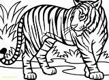 Tiger Coloring Pages Drawing Printable Kids Line Sheets Tigers Easy Sheet Adults Color Animal Getdrawings Trolley Cool Print Daniel Getcolorings sketch template