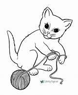 Coloring Cat Pages Color Cats Printable sketch template