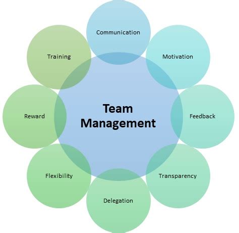 team management definition importance  hrm overview mba