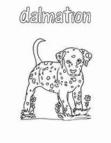 Coloring Pages Dog Fire Kids Little Fictional Dogs Playing Characters Boys sketch template